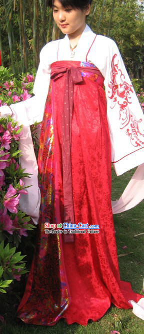 Ancient Chinese Tang Dynasty Palace Lady Costumes