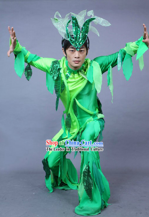 Chinese Green Leaf Dance Costumes Complete Set