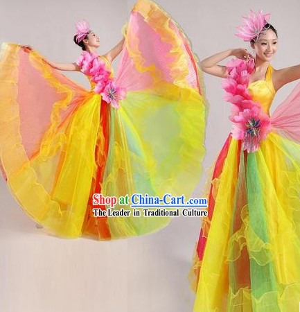 Traditional Chinese Stage Performance Dancing Costume and Headpiece for Women