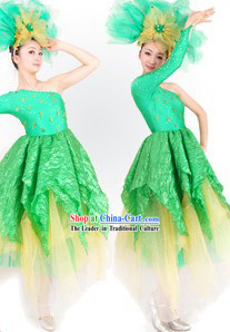 Traditional Chinese Opening Dance Costumes and Headdress for Women