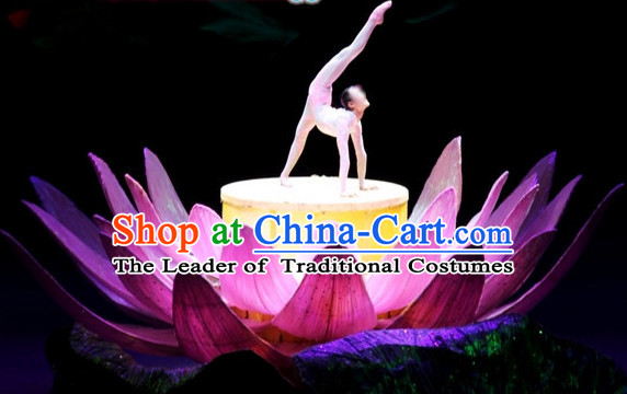 Chinese Dance Costumes Prop Classical Lotus Dance Costume Props Stage Performance Base Folk Decoration