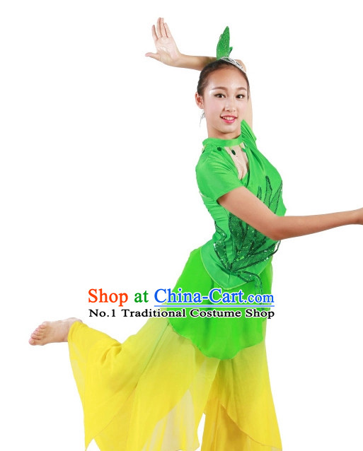 Professional Chinese Stage Dance Costumes Carnival Costumes China Shop Costume for Women