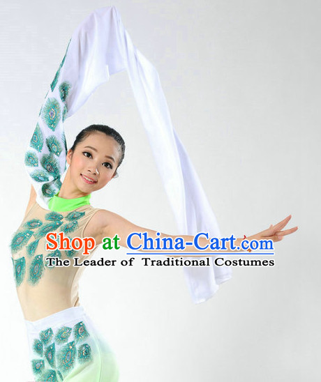 Traditional Chinese Classical Long Sleeves Dance Costumes for Girls