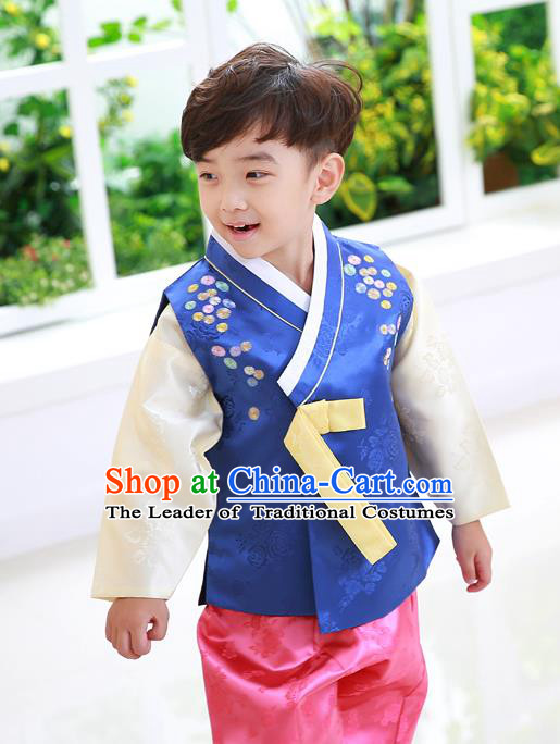 Asian Korean National Traditional Handmade Formal Occasions Boys Embroidery Blue Vest Hanbok Costume Complete Set For