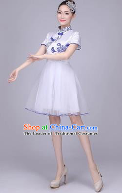 Traditional Chinese Classical Dance Cheongsam Costume, China Folk Dance White Veil Short Bubble Dress for Women