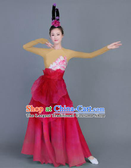 Chinese Traditional Classical Dance Costume Folk Dance Lotus Dance Red Dress for Women