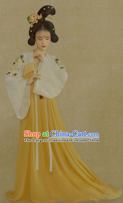 Traditional Chinese Tang Dynasty Palace Lady Costumes Ancient Fairy Hanfu Dress for Women