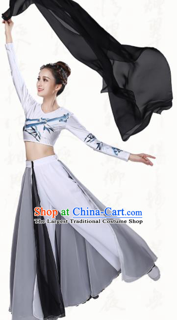 Chinese Traditional Classical Dance Grey Dress Ancient Group Dance Costumes for Women