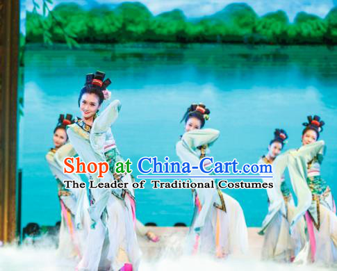 Traditional Chinese Folk Dance Embroidered Costume, China Classical Dance Fairy Clothing for Women