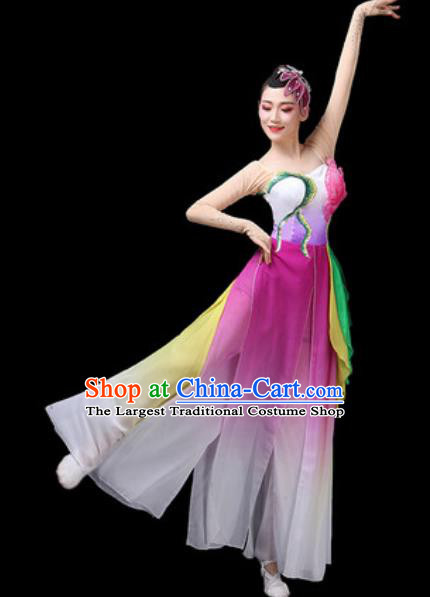 Chinese Traditional Classical Dance Costumes Fan Dance Group Dance Lotus Dance Purple Dress for Women