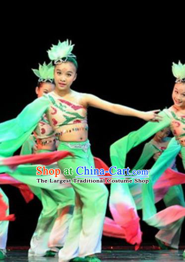 Traditional Chinese Classical Dance Green Costume Water Sleeve Dance Stage Show Dress for Women