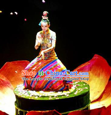 Chinese Impression Tibetan Zang Nationality Folk Dance Dress Yang Liping Stage Performance Costume and Headpiece for Women