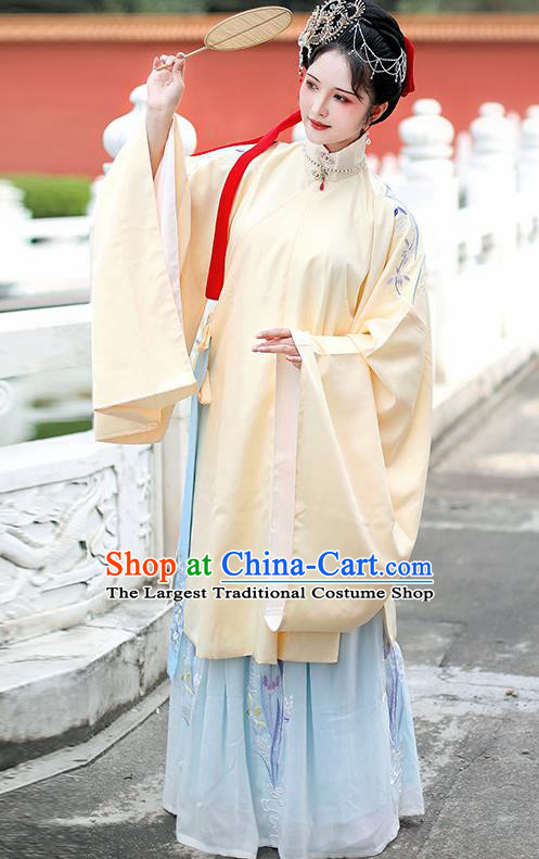 Traditional Chinese Ming Dynasty Palace Countess Embroidered Hanfu Dress Ancient Imperial Consort Replica Costume for Women