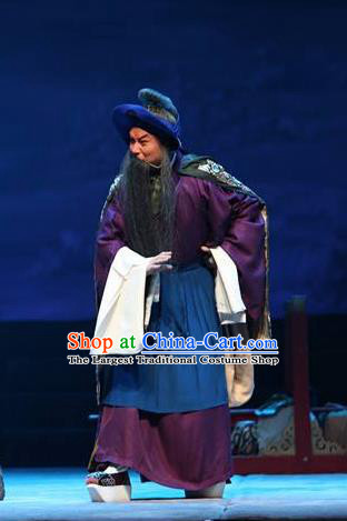 Su Wu In Desert Chinese Beijing Opera Herdsman Clothing Stage Performance Dance Costume and Headpiece for Men