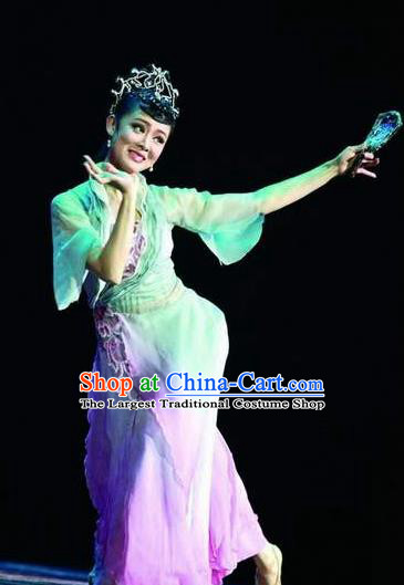 Traditional Chinese Classical Dance Dian Jiang Chun Costume Solo Ballet Dance Dress for Women