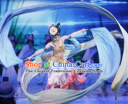 Traditional Chinese Classical Dance Bai Zhu Wu Costume Peking Opera Water Sleeve Dress for Women