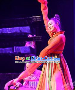 Traditional Chinese Classical Dance Rui Zhe Gu Costume Water Sleeve Stage Show Beautiful Dance Dress for Women