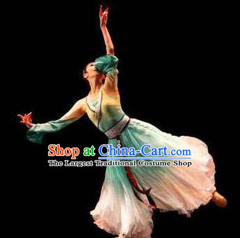 Beautiful Chinese Dance Pear Flower Dance Costume Traditional Classical Dance Dress for Women