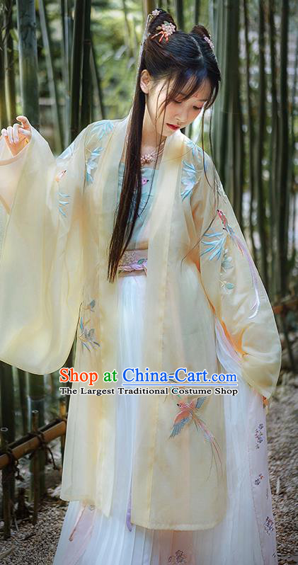 Traditional Chinese Song Dynasty Princess Hanfu Dress Ancient Court Lady Replica Costumes for Women