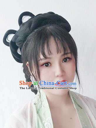 Chinese Song Dynasty Noble Lady Wigs Best Quality Wigs China Cosplay Wig Chignon Ancient Royal Princess Wig Sheath