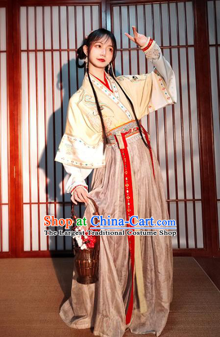 China Ancient Village Girl Embroidered Hanfu Dress Traditional Song Dynasty Country Lady Historical Costumes