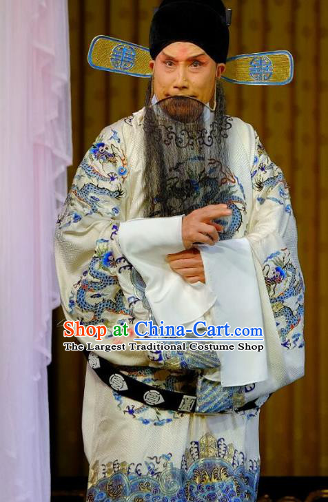 Chinese Peking Opera Official Dong Zhuo Costumes Garment Lv Bu and Diao Chan Elderly Male Apparels White Python Embroidered Robe and Hat