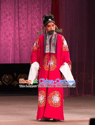 Chinese Beijing Opera Garment Peking Opera Judge Bao and the Qin Xianglian Case Apparels Elderly Male Gongsun Ce Red Costumes and Headwear