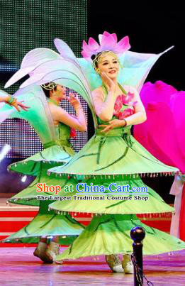 Chinese Lotus Dance Green Dress Traditional Classical Dance Stage Performance Costume for Women