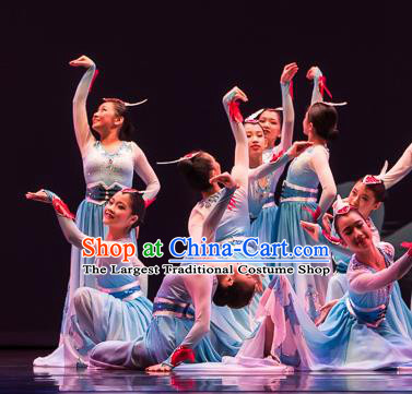 Chinese Swan Folk Dance Blue Dress Traditional Classical Dance Stage Performance Costume for Women