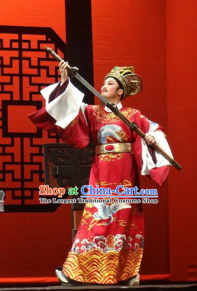 Chinese Shaoxing Opera Chancellor Red Official Garment Yue Opera Shuang Fei Yi Apparels Prime Minister Costumes and Hat