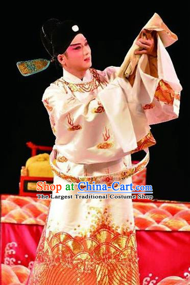 Bai Luo Shan Chinese Kun Opera Number One Scholar Xu Jizu Apparels Garment Costumes and Headwear Kunqu Opera Xiaosheng Clothing Embroidered Robe