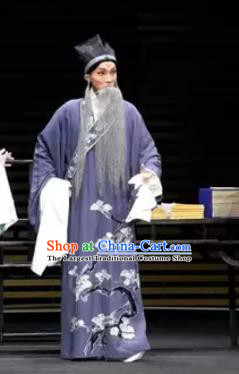 Gu Yanwu Chinese Elderly Male Apparels and Headwear Kunqu Opera Laosheng Garment Purple Robe Costumes