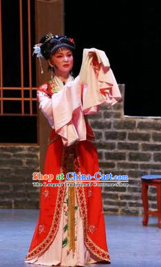 Chinese Shaoxing Opera Hua Tan Red Dress Apparels Yue Opera The Peacocks Fly To The Southeast Liu Lanzhi Costumes Diva Garment and Headpieces