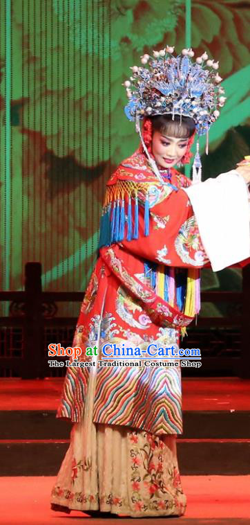 Chinese Huangmei Opera Royal Princess Garment Costumes and Headdress Female Consort Prince Traditional Anhui Opera Hua Tan Dress Apparels