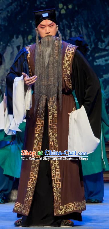 Chinese Ping Opera Old Man Bao Gong San Kan Butterfly Dream Costumes and Headwear Pingju Opera Laosheng Apparels Clothing