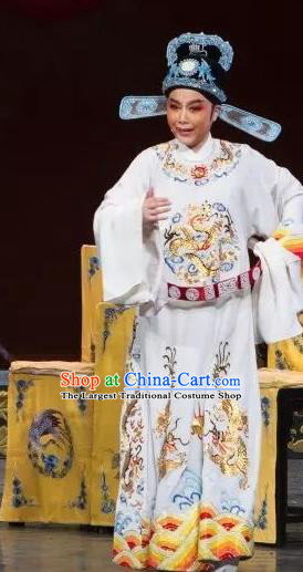 Chinese Yue Opera Niche Wu Nv Bai Shou Young Male Costumes and Hat Shaoxing Opera Apparels Zou Yinglong Embroidered Robe Vestment Garment