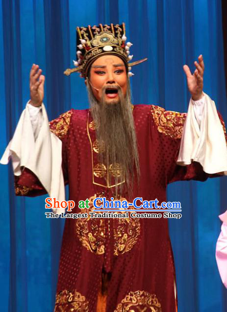 Chinese Yue Opera Elderly Male Apparels San Kan Yu Mei Costumes and Hat Shaoxing Opera Laosheng Garment Landlord Robe