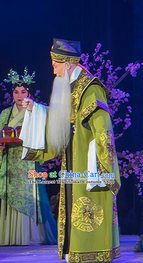 Ru Ji Chinese Peking Opera Laosheng Garment Costumes and Headwear Beijing Opera Elderly Male Apparels Clothing