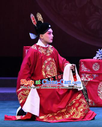 Love of Jade Hairpin Chinese Peking Opera Niche Zhao Qixian Garment Costumes and Headwear Beijing Opera Bridegroom Apparels Scholar Clothing