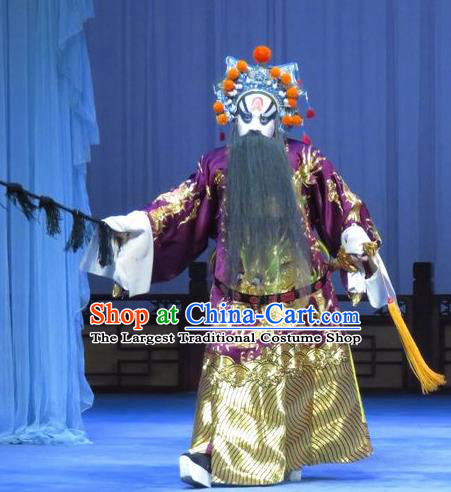 Tao Li Mei Chinese Ping Opera Elderly Male Costumes and Headwear Pingju Opera Minister Fang Hengxing Apparels Clothing