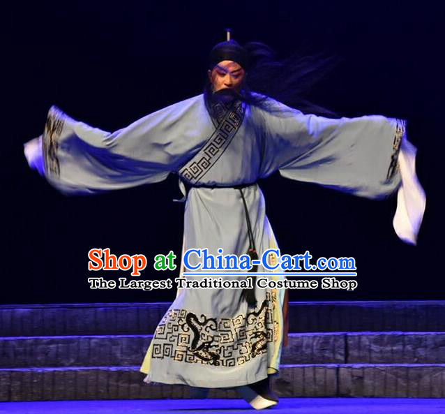 Qing Tian Dao Chinese Peking Opera Elderly Male Hai Rui Garment Costumes and Headwear Beijing Opera Laosheng Apparels Clothing