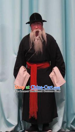 Qin Xianglian Chinese Ping Opera Old Man Garment Costumes and Headwear Pingju Opera Elderly Male Zhang Yuanling Apparels Clothing