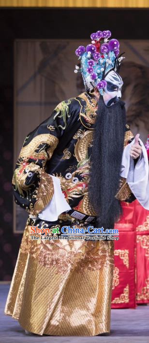 Yang Paifeng Chinese Peking Opera Elderly Male Yang Yanzhao Garment Costumes and Headwear Beijing Opera Jing Apparels Laosheng Clothing