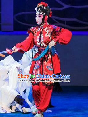 Chinese Beijing Opera Female Swordsman Red Apparels Lan Ruo Wu Geng Costumes and Headdress Traditional Peking Opera Wudan Dress Heroine Garment