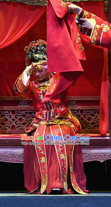 Chinese Ping Opera Young Female Servant Apparels Costumes and Headpieces Jin E Traditional Pingju Opera Bride Cao Yanan Dress Garment