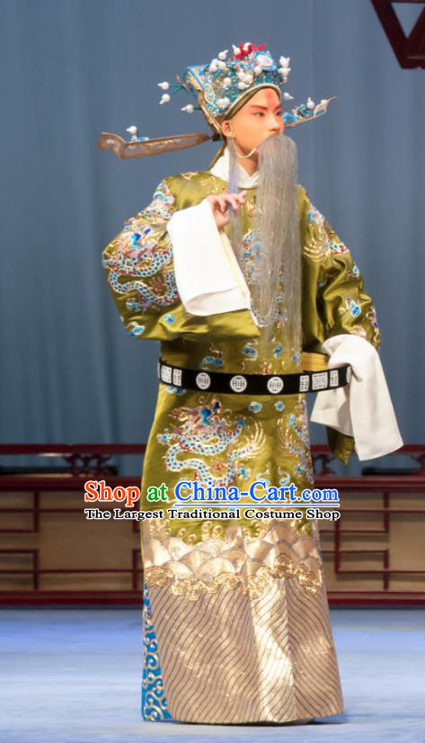 Ban Yao Chinese Ping Opera Minister Garment Costumes and Headwear Pingju Opera Elderly Male Wang Yun Apparels Clothing