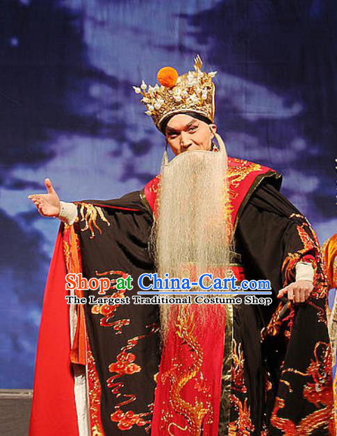 The Tiger Generals Chinese Peking Opera Laosheng Apparels Costumes and Headpieces Beijing Opera Elderly Male Garment Lord Li Keyong Clothing