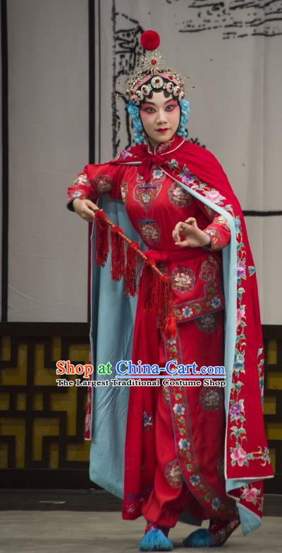 Chinese Beijing Opera Swordswoman Bao Jinhua Garment Costumes and Hair Accessories Long Tan Bao Luo Traditional Peking Opera Actress Dress Martial Female Apparels