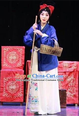 Chinese Sichuan Opera Female Beggar He Zhu Garment Costumes and Hair Accessories He Zhu Pei Traditional Peking Opera Servant Girl Dress Xiaodan Apparels