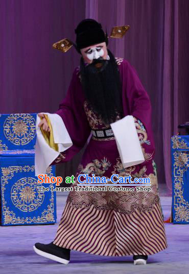 Chu Palace Hen Chinese Peking Opera Laosheng Garment Costumes and Headwear Beijing Opera Treacherous Official Fei Wuji Apparels Clothing